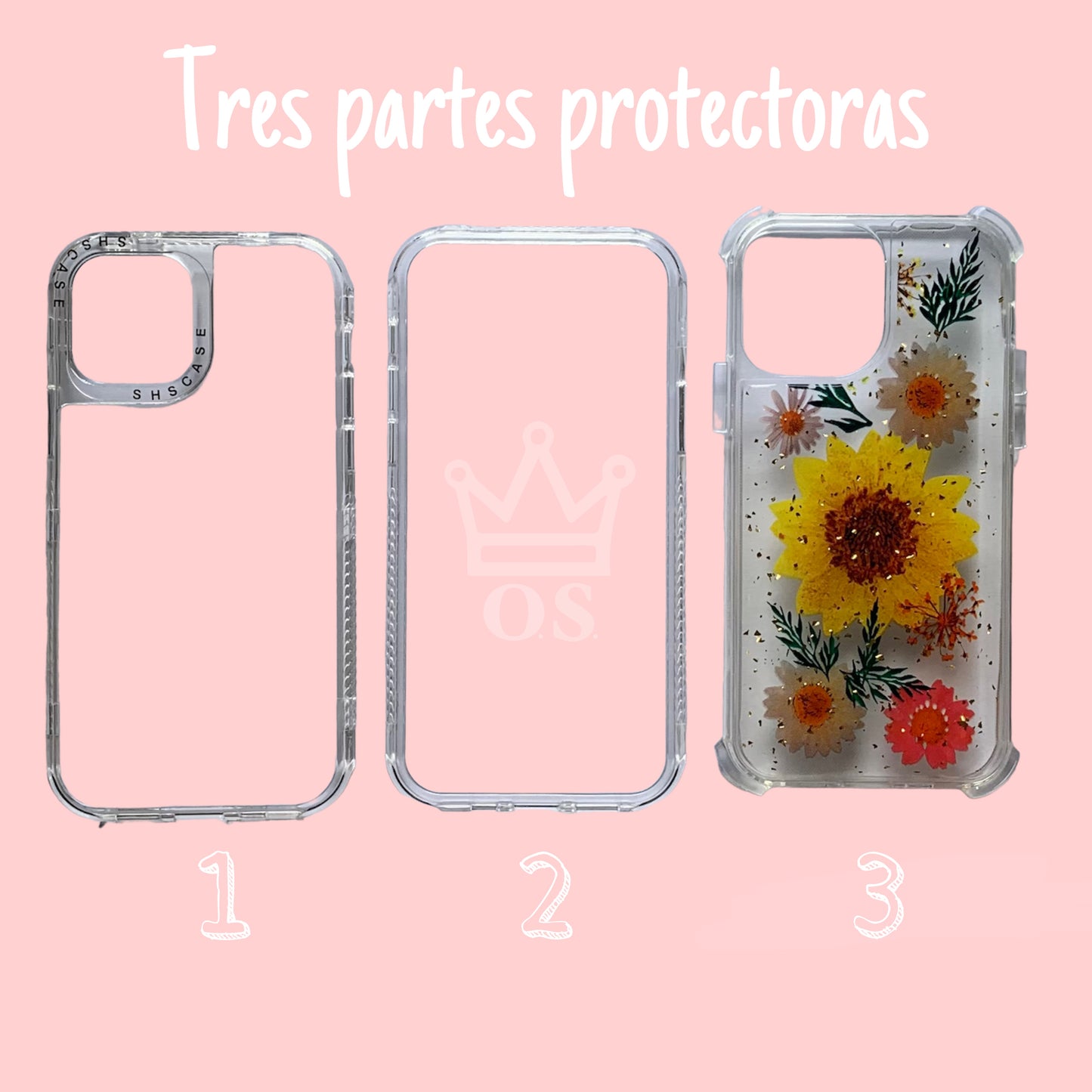 Case de Flores Secas 540